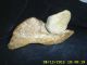 Pre Historic Authentic Paint Pot With Pestle Spring River Ar The Americas photo 4