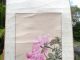 Vintage Chinese Water Colour Scroll Flowers And Feeding Birds Signed China Scrolls photo 9