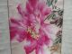 Vintage Chinese Water Colour Scroll Flowers And Feeding Birds Signed China Scrolls photo 2
