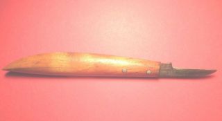 Medical ? Instrument Wood Handlel Knife photo