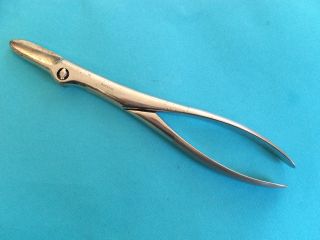 Antique French Mathieu 19th Century Bone Shears Medical Surgical Instrument photo