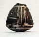 Pre - Columbian Standing Sideways Black Animal Bead.  Guaranteed Authentic. The Americas photo 2