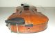 Antique 19th C.  German Violin Tiger Maple With Ebony Fingerboard Germany String photo 10