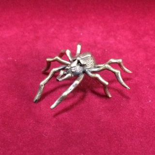 Spider Hunting Money Love Luck Wealth Rich Good Business Thai Amulet photo