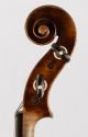Old 4/4 Violin Label G.  Pollastri 1926 Geige Violon String photo 7
