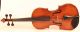 Old Italian Violin Cavani 1901 Geige Violon Violino Violine 小提琴 バイオリン String photo 1