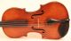 Old Italian Violin Cavani 1901 Geige Violon Violino Violine 小提琴 バイオリン String photo 2