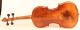 Old Italian Violin Cavani 1901 Geige Violon Violino Violine 小提琴 バイオリン String photo 3