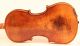 Old Italian Violin Cavani 1901 Geige Violon Violino Violine 小提琴 バイオリン String photo 4