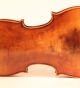 Old Italian Violin Cavani 1901 Geige Violon Violino Violine 小提琴 バイオリン String photo 5