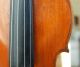 Fine German Handmade 4/4 Fullsize Violin - Brandmarked Hopf - 1900 ' S String photo 1