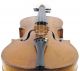 Italian Antique Conservatori 4/4 Old Master Violin String photo 1