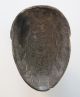 Large Antique African Carved Wood Tribal Mask Mende Yombe Bundu Helmet Style Nr Masks photo 5