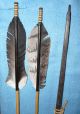 Rare Matses Peru Amazon Indian Bow And Arrows Latin American photo 1