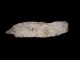 Two Rare Neolithic Compact Flint Scrapers From The Balkans, Neolithic & Paleolithic photo 2
