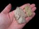 Two Rare Neolithic Compact Flint Scrapers From The Balkans, Neolithic & Paleolithic photo 7