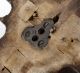 Antique Wood Foundry Mold Pattern Step Pulley Frick Co.  Waynesboro Pa Industrial Molds photo 9