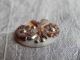 Antique Flower Picture Button Carved Mother Of Pearl With Cut Steel 163a Buttons photo 1