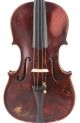Old,  Rare Italian Antique 4/4 School Violin String photo 1
