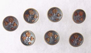 Buttons Victorian Tinted Metal Screen Back Matching Perfume photo