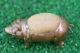19thc Bronze Standing Pig Pin Cushion With Curly Tail C1880s Metalware photo 7
