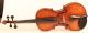 Very Old Italian Violin Landolfi 1752 Geige Violon Violino Violine 小提琴 バイオリン String photo 2