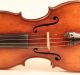 Very Old Italian Violin Landolfi 1752 Geige Violon Violino Violine 小提琴 バイオリン String photo 7