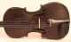 Old Rare Fine Violin Labeled P.  Testore 1748 Geige Violon Violino Violine Viola String photo 1