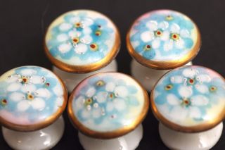 Vintage Hand Painted Porcelain Buttons 5 Gorgeous Design photo