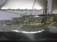 The Sailboat Of Silver Of The Most Wonderful Japan.  A Japanese Antique. Other Antique Sterling Silver photo 4