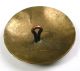 Antique Brass Dome Button Detailed Bird & Nests On Wallpaper Design - 1 & 1/4 