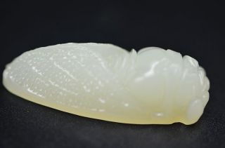 Superior Quality Chinese White Jade Carved Cicada Pendant photo