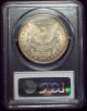 1881 O Pcgs Ms - 64 Silver Morgan Dollar Gorgeous Golden Rainbow Tone Us Coin The Americas photo 3