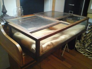 Antique Oak Framed Table Top Display Case From The 1930 ' S photo