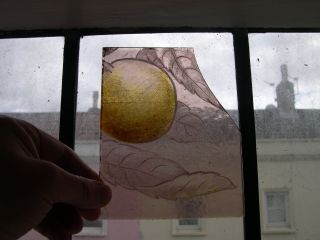 F232 - Antique Stained Glass Window Fragment - An Orange And Leaves - Pink Glass photo