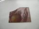 F232 - Antique Stained Glass Window Fragment - An Orange And Leaves - Pink Glass 1900-1940 photo 1