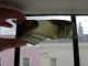 F208 - Antique Stained Glass Window Fragment - Saint ' S Neck - Halo - Beard Part 1900-1940 photo 3