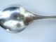 Old Wallace Antique Chautauqua N.  Y.  Sterling Silver Demitasse Souvenir Spoon Souvenir Spoons photo 3