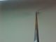 Master Violin Bow,  Stamped: 