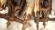 Pair Antique Double Light Solid Brass Sconces Wall Hugger Chandeliers, Fixtures, Sconces photo 1