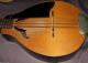 1930 ' S Roy Smeck Vita Harmony Mandolin W/case String photo 1