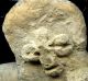 Pre - Columbian Rare Aztec Cuauhtitlan Half Figure,  Ca;800 - 1200ad The Americas photo 1