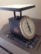 Vintage Pelouze Scale & Mfg.  Co Pelouze Family Scale 24 Lbs,  Mar 14,  ' 99 Scales photo 3