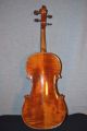 Old French 4/4 Violin School Of Jtl Model Stradivarius String photo 4