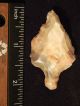 A Stemmed Aterian Artifact 55,  000 To 12,  000 Years Old Algeria 56.  37 Neolithic & Paleolithic photo 1