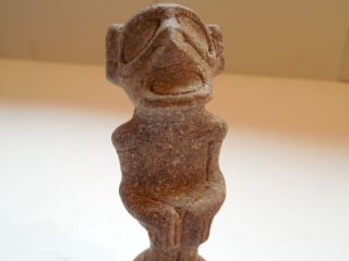 Taino Stone Figure Arawak Pre - Columbian Archaic Ancient Artifact Mayan Olmec Nr photo