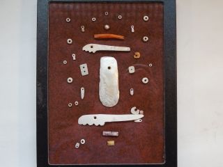 Cocle Shell Pendant Bead Display Panama Pre - Columbian Ancient Artifacts Mayan Nr photo