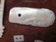 Cocle Shell Pendant Bead Display Panama Pre - Columbian Ancient Artifacts Mayan Nr The Americas photo 5