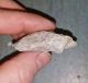 Mousterian Pontinian Neanderthal Hand Axe Italy Italia Neolithic & Paleolithic photo 3