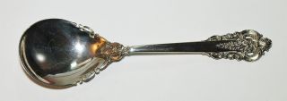 Wallace Grande Baroque Sterling Silver Sugar Spoon - $9.  95 photo